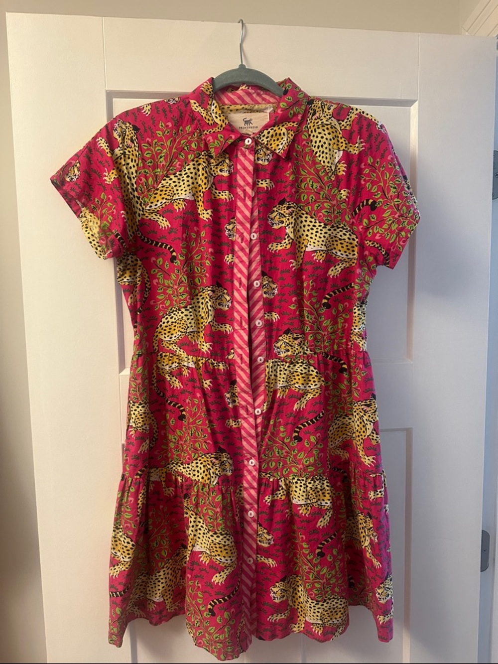 Printfresh Hot Pink and Yellow Leopard-Print dress